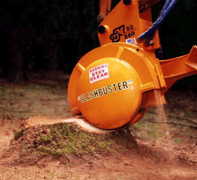 this is a picture of stump grinding tree removal carlsbad pro tree service